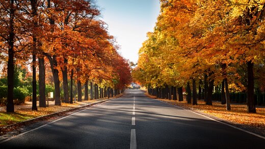 © Diego/stock.adobe.com
