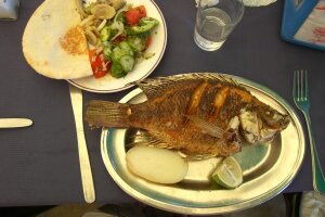 Der leckere Petrusfisch | © Foto: GdP