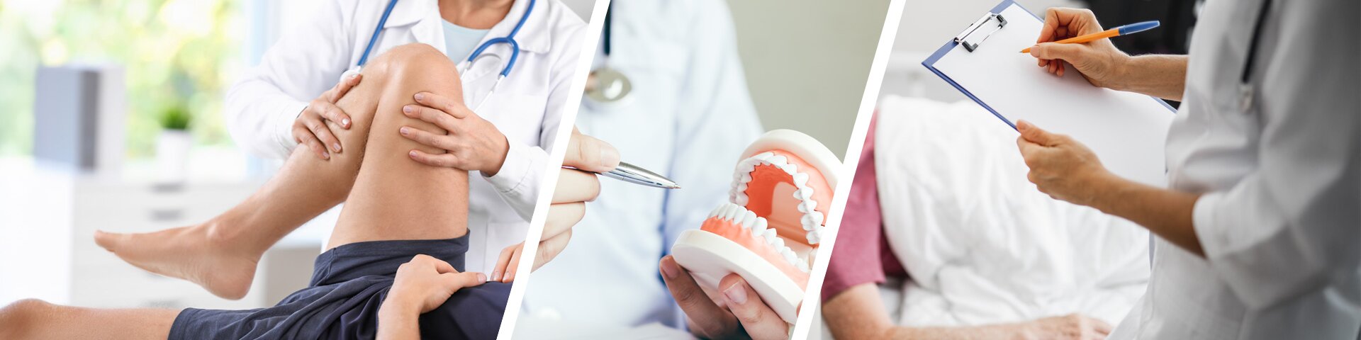 © Fotos: AdobeStock #230294244 | Yakobchuk Olena, #244133661 | wutzkoh, #312796101 | Pixel-Shot