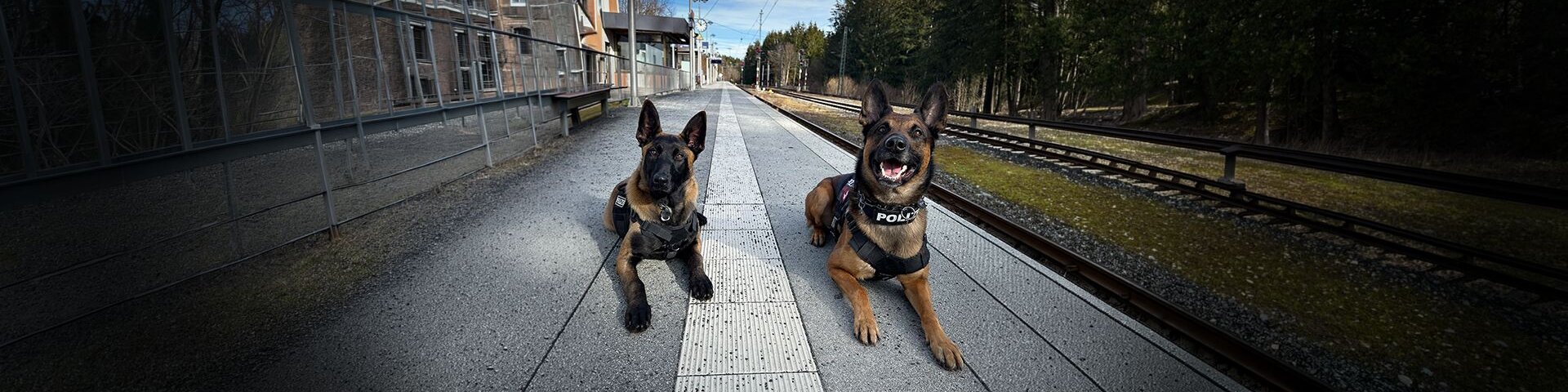 © Foto: GdP / Franziska Hutter