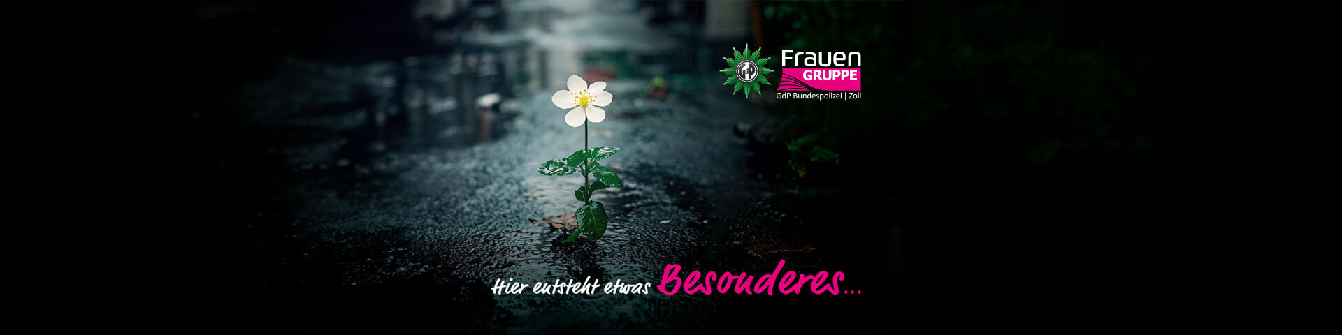 © Foto: pixabay.com #9056219 | Vilkasss