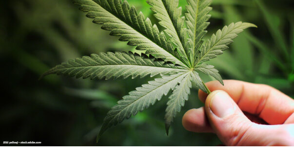 © GdP