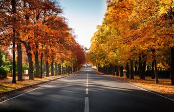 © Diego/stock.adobe.com