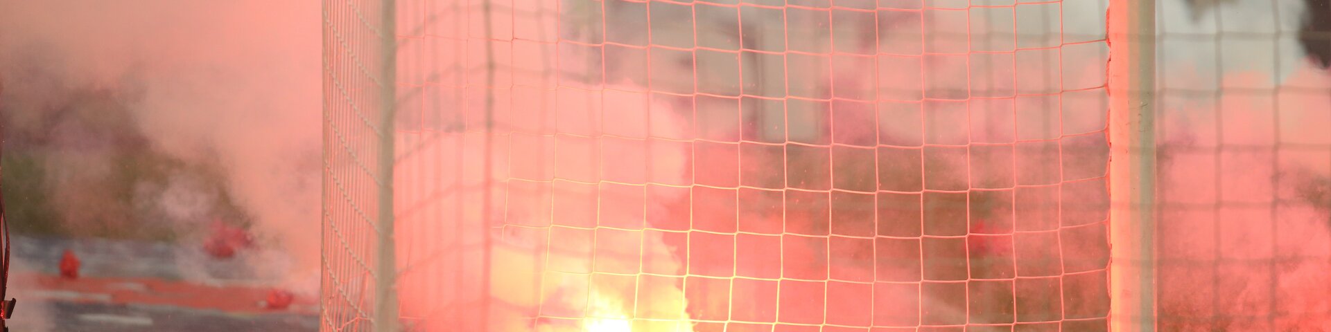 © MoiraM/stock.adobe.com