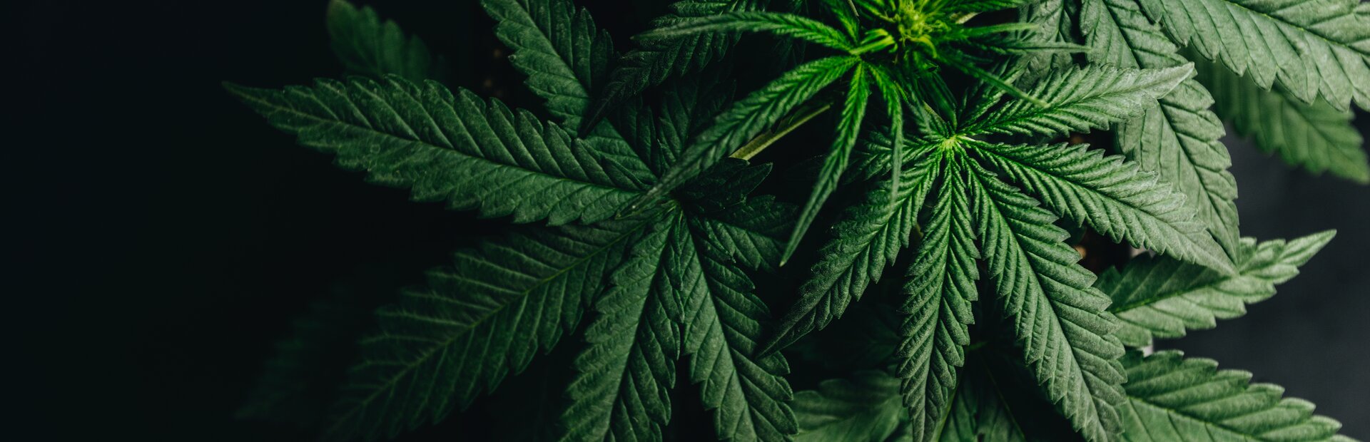 © YARphotographer/stock.adobe.com