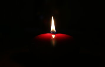 © saukul/stock.adobe.com