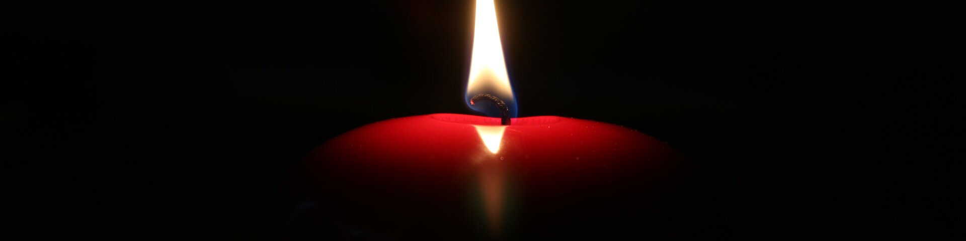 © saukul/stock.adobe.com