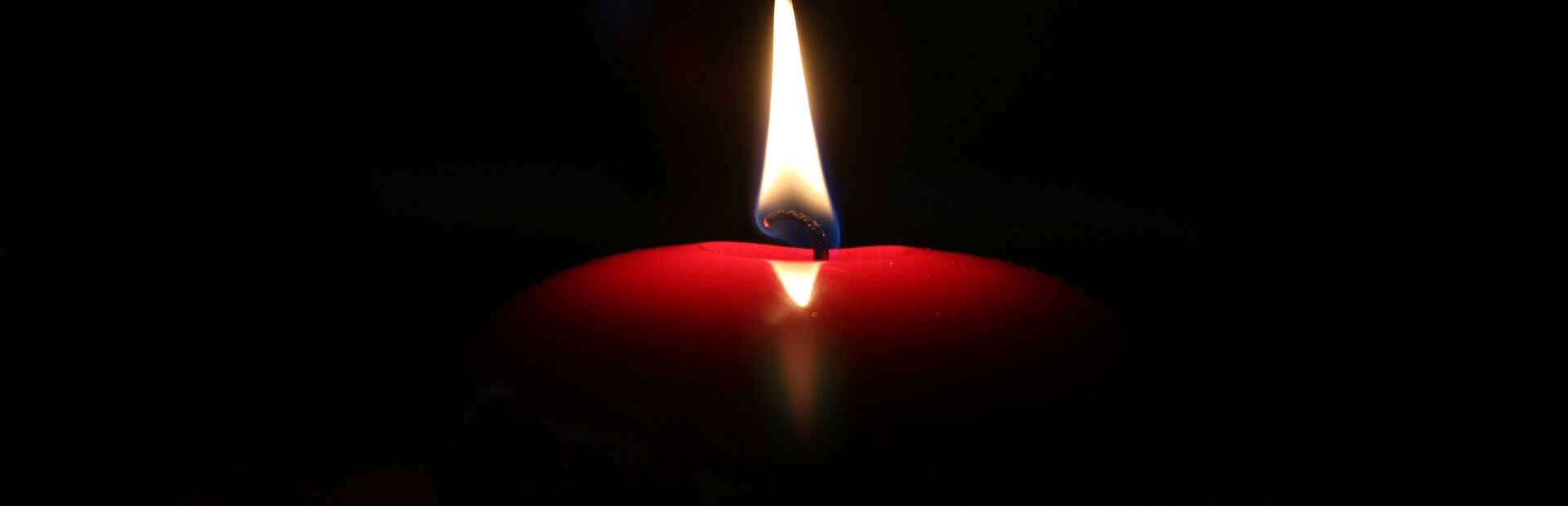 © saukul/stock.adobe.com