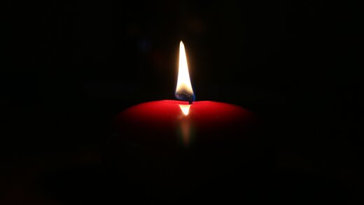 © saukul/stock.adobe.com