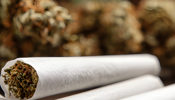 © Maryna/stock.adobe.com