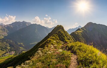 © mindscapephotos-adobe.com