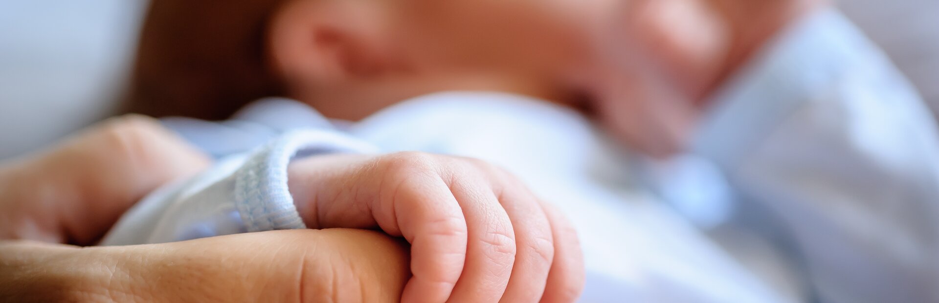 © guruXOX.stockadobe.com