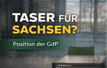 Innenausschuss zum DEIG | © GdP SN