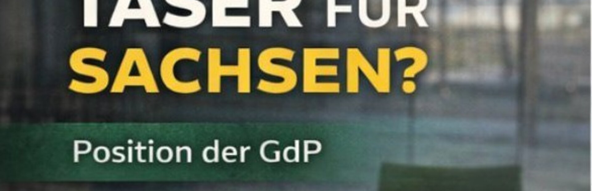 Innenausschuss zum DEIG | © GdP SN