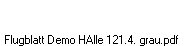 Flugblatt Demo HAlle 121.4. grau.pdf