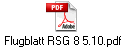 Flugblatt RSG 8 5.10.pdf