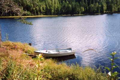 Ein eigenes Ruderboot steht zur Verfügung. Gutes Angelrevier, insbesondere für Hecht, Forelle und Barsch. Mit einer Angelkarte (ca. 7 Euro pro Woche, beim Vermieter zu kaufen) kann man in 7 Seen der Region angeln! Für Forellensee wird Extrakarte benötigt.