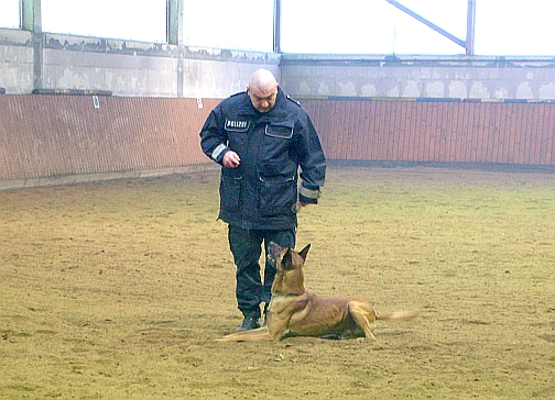 Unterordnungsübung mit Diensthund (Fotos: D. Schilff,  26.01.2010)